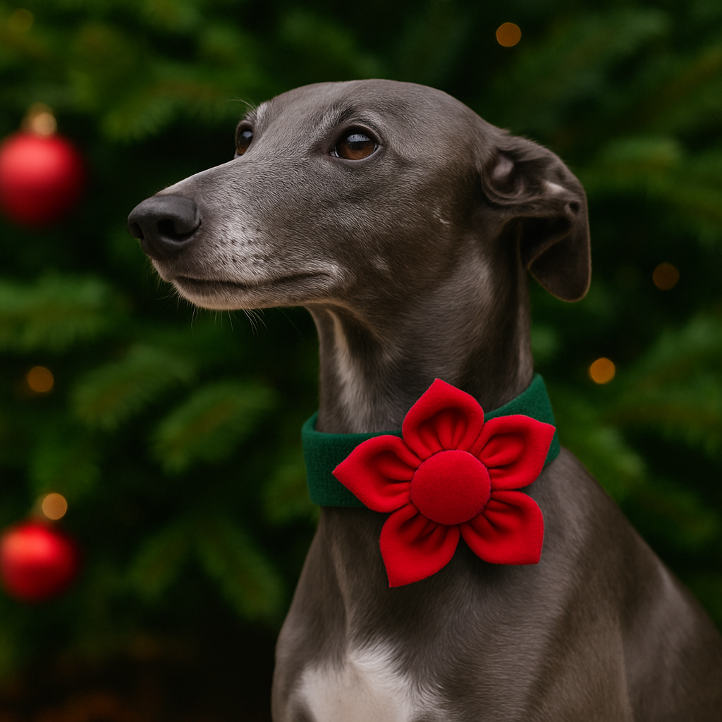 Christmas dog accessories
