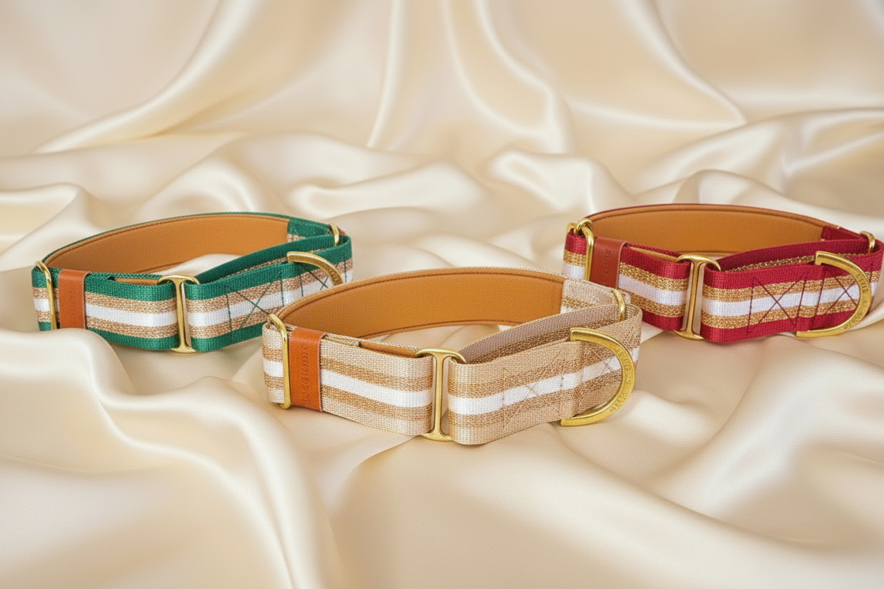 Beige Glitter Dog Collar – Personalised buckle or martingale collar (1.5" Wide)