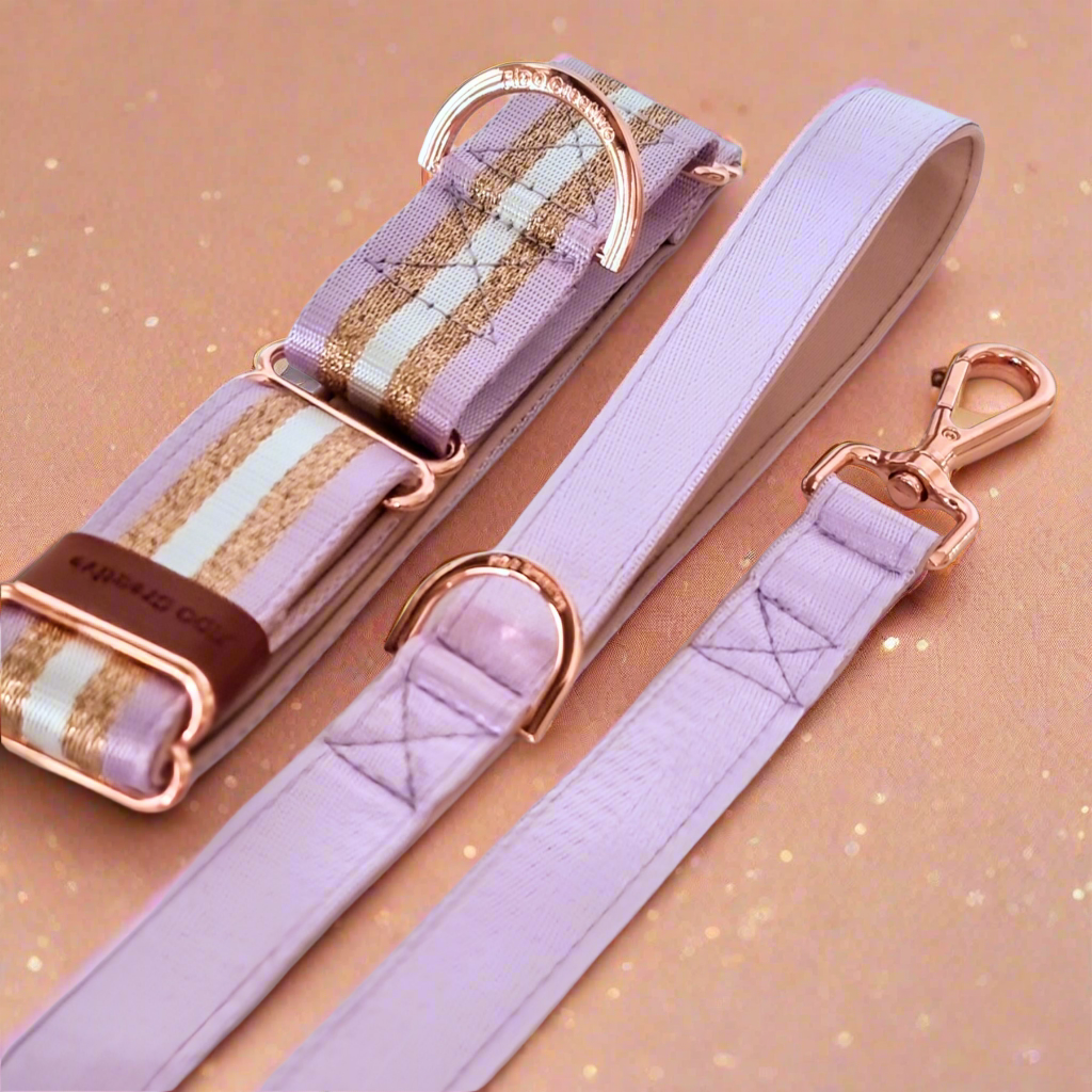 Lilac dreams dog leash - Neoprene Padded
