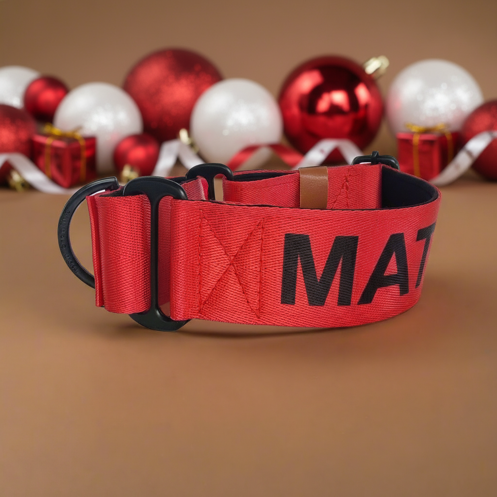 Red Martingale Dog Collar – Padded, personalised with Dog’s Name Optional