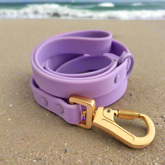 Purple biothane dog leash