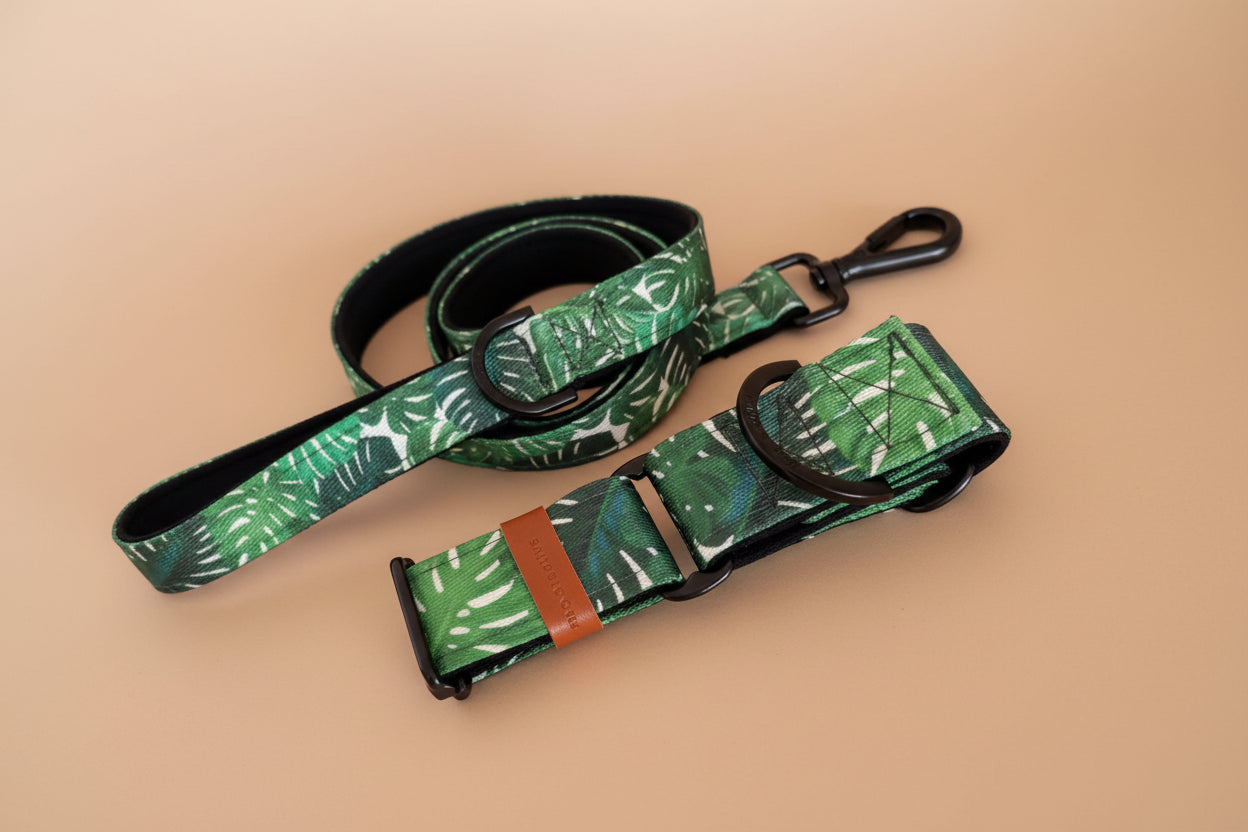 Padded Dog Leash with tropical monstera leaf pattern