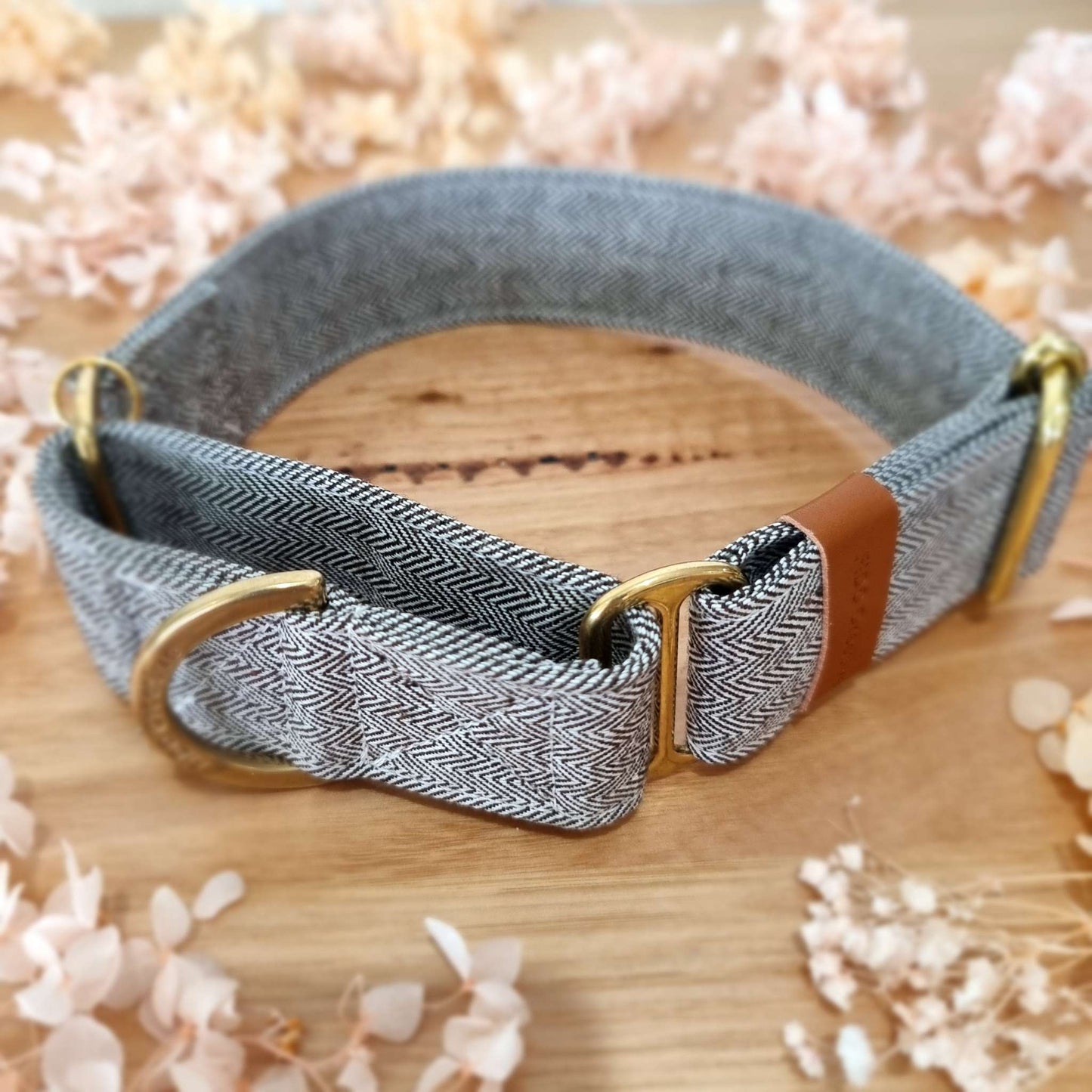 chevron greyhound collar