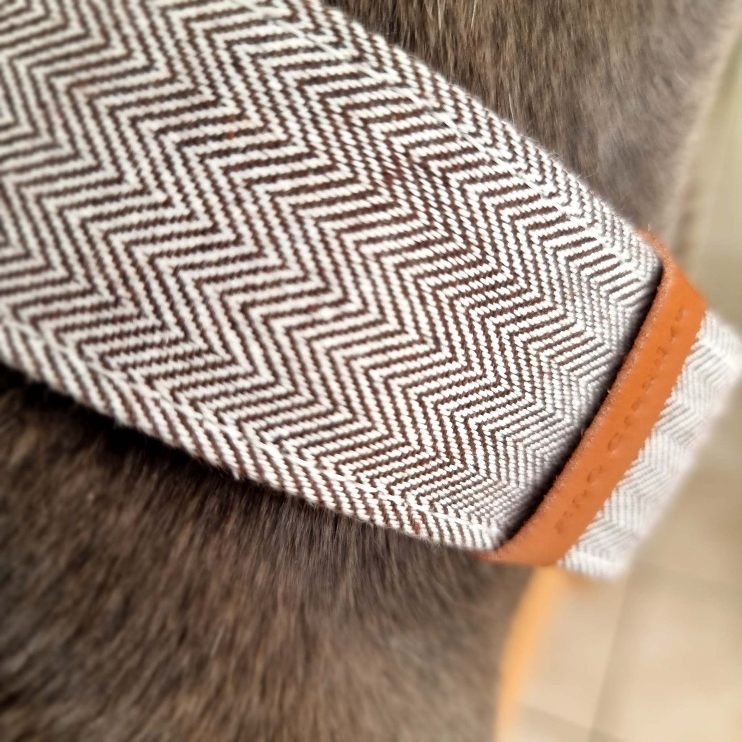 zig zag martingale collar