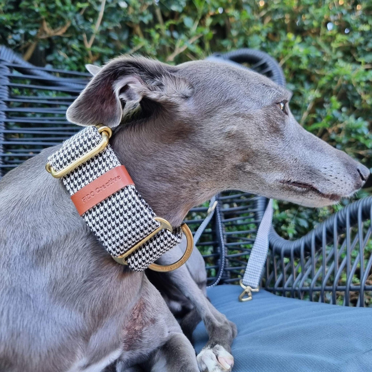 Martingale collar - Houndstooth black and white Martingale collar