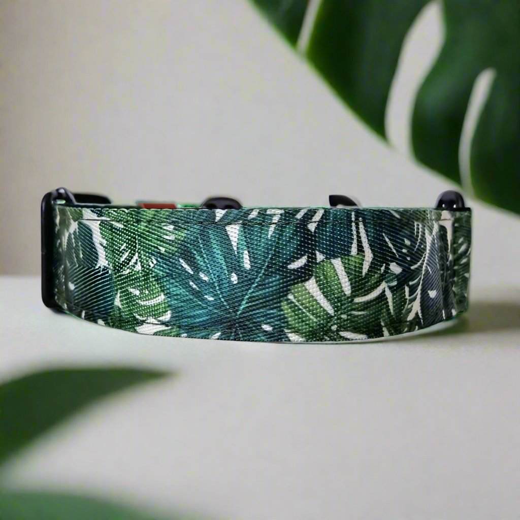 Martingale collar - Monstera leaf - Padded