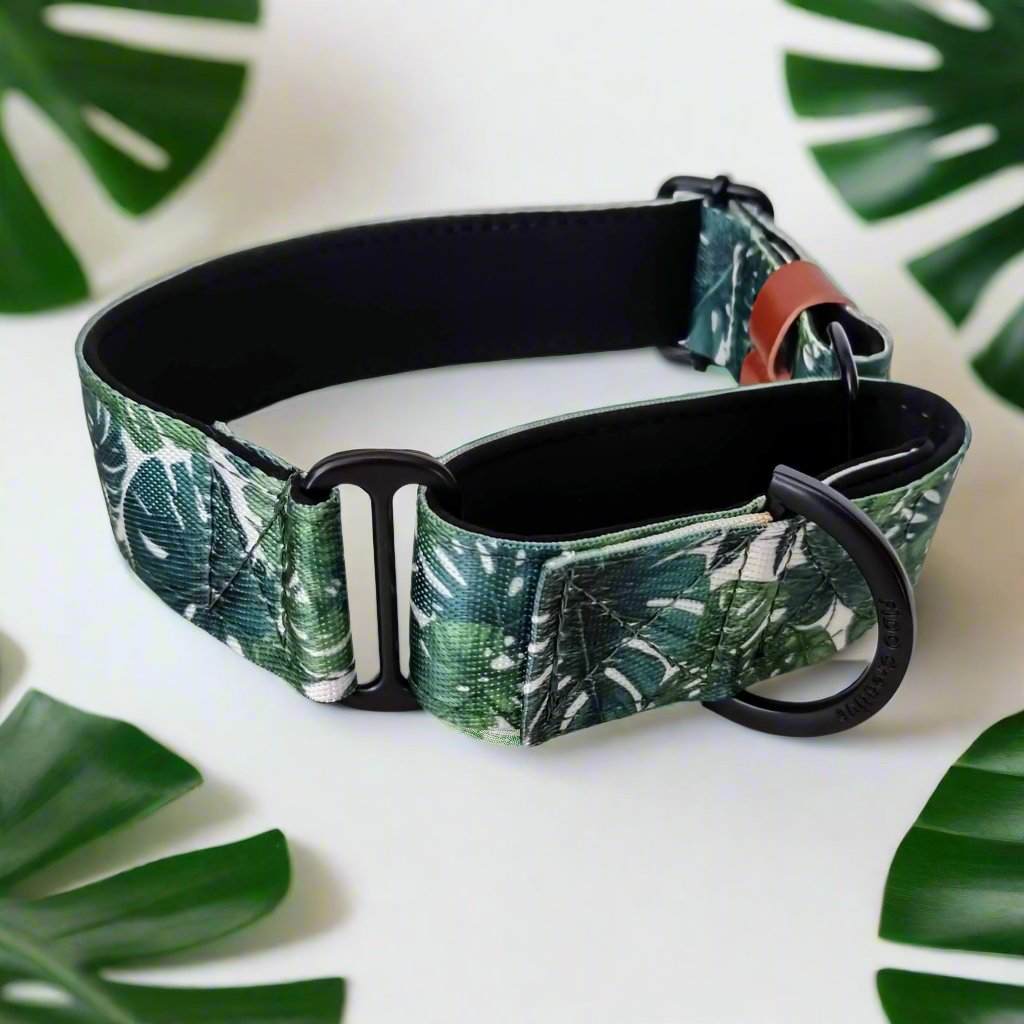 Martingale collar - Monstera leaf - Padded