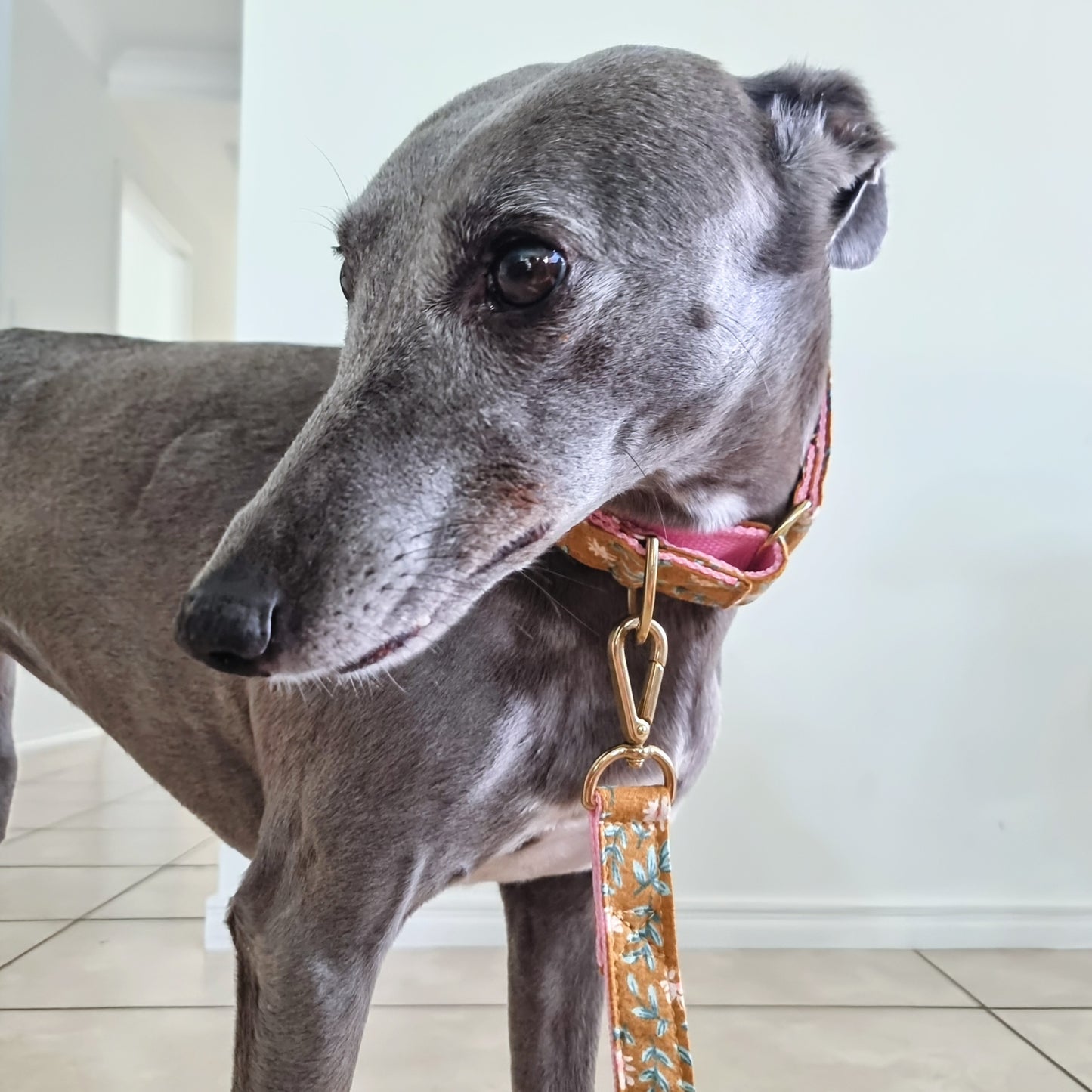 Martingale collar - Annabelle floral