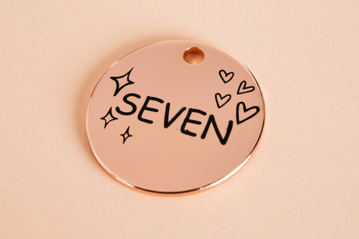 Dog or cat identification tag