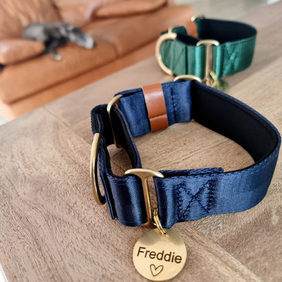 Navy blue martingale dog collar with matching solid brass pet ID tag