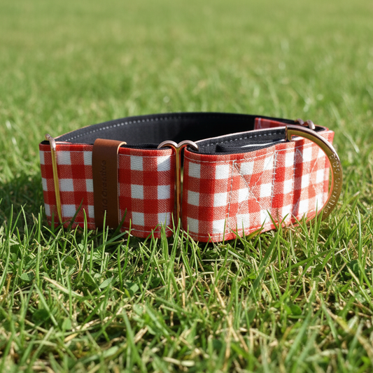 Red Gingham Martingale Dog Collar ā Dog Collar, Padded & Durable