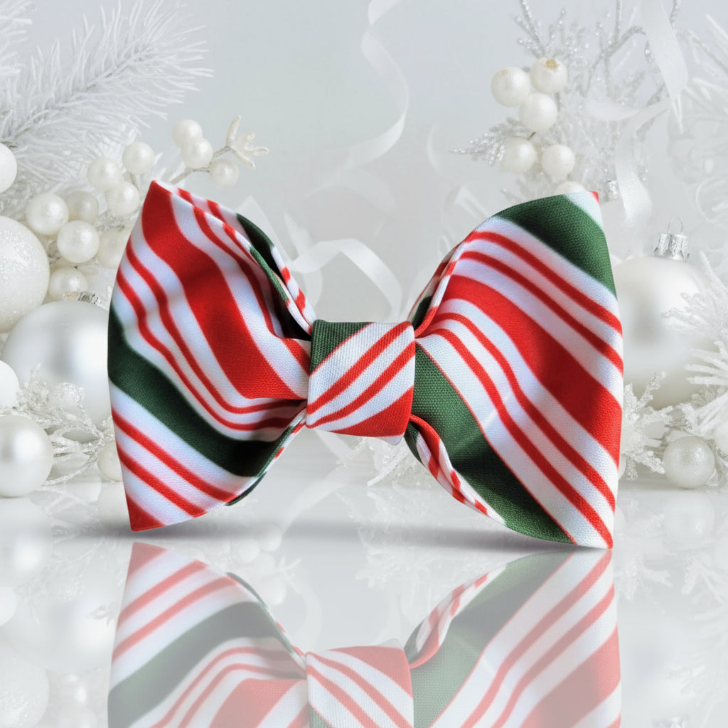 candy cane dog bow to for christmas