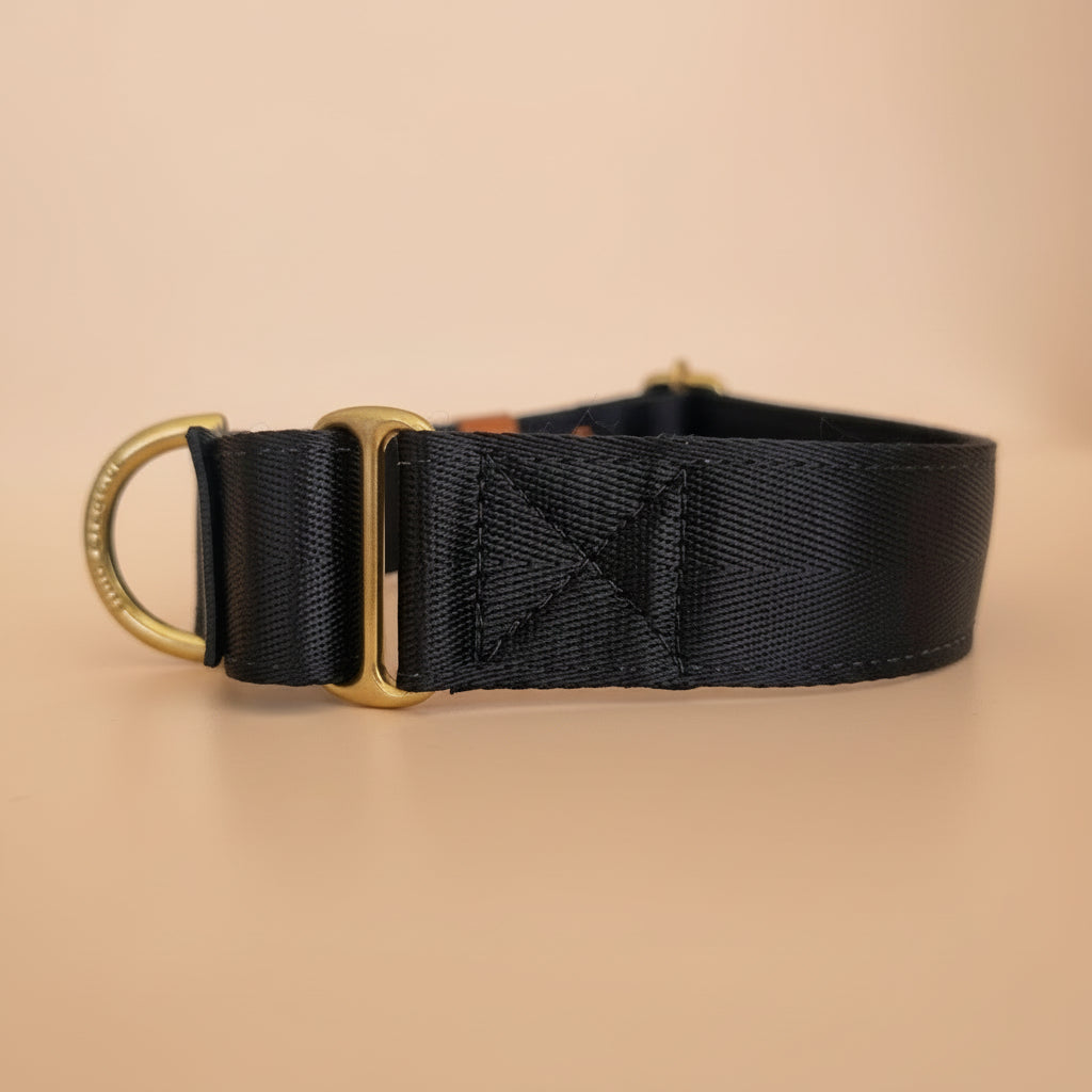 black dog martingale collar