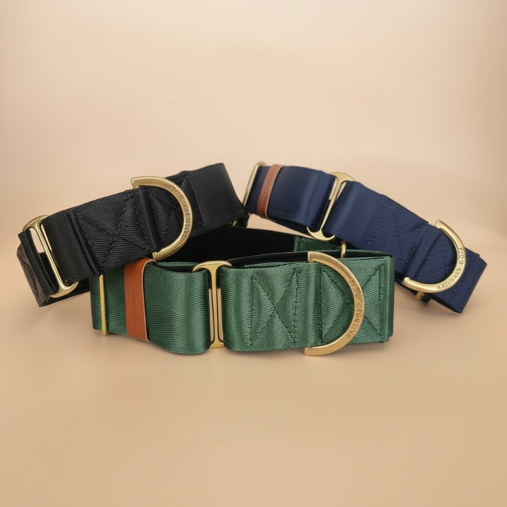 Navy blue martingale collar - Padded & Solid Brass hardware as standard