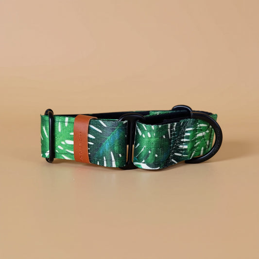 A green and white patterned dog collar with a black metal buckle is shown against a white background.