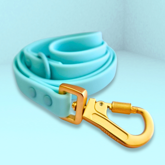 Light blue biothane dog leash