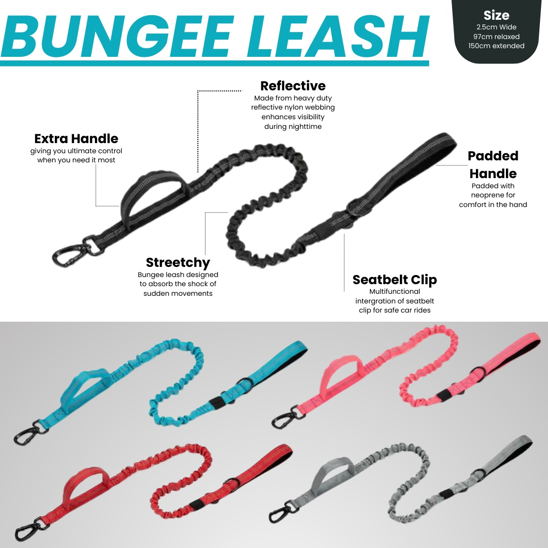 tactical bungee dog leash padded