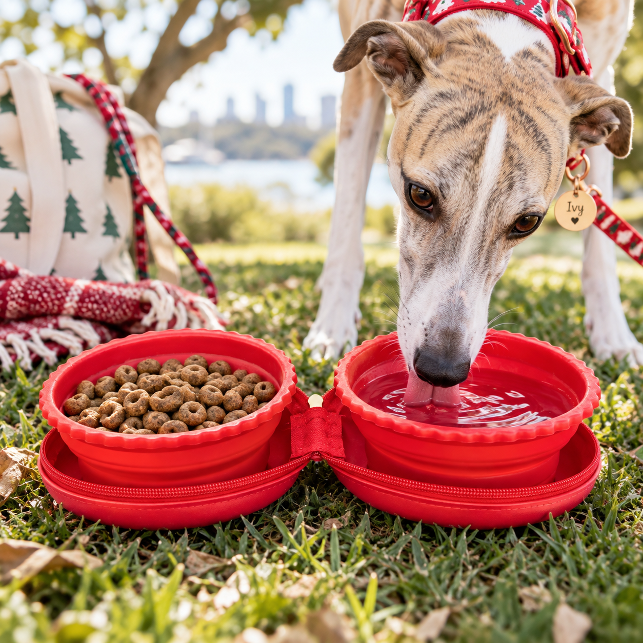 Christmas Dog Gift – Portable Double Dog Bowl & Travel Feeder