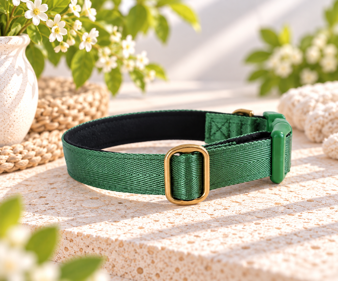Green padded dog collar with buckle - Optional name dog collar