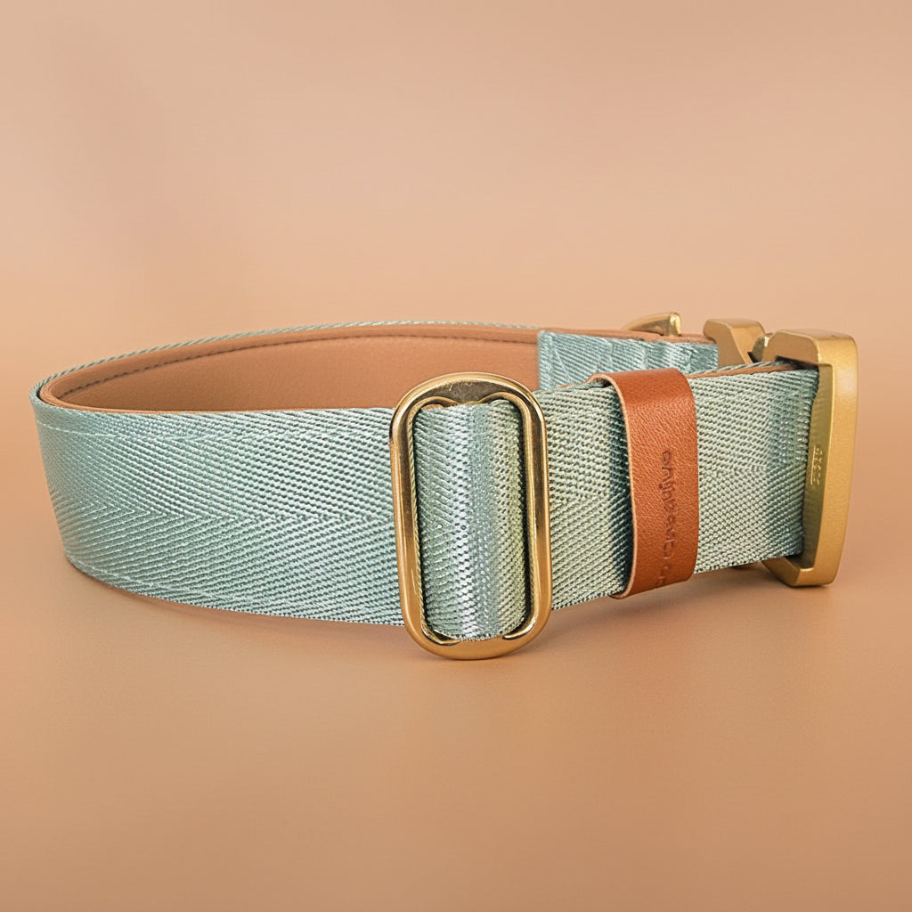 Strong green dog collar