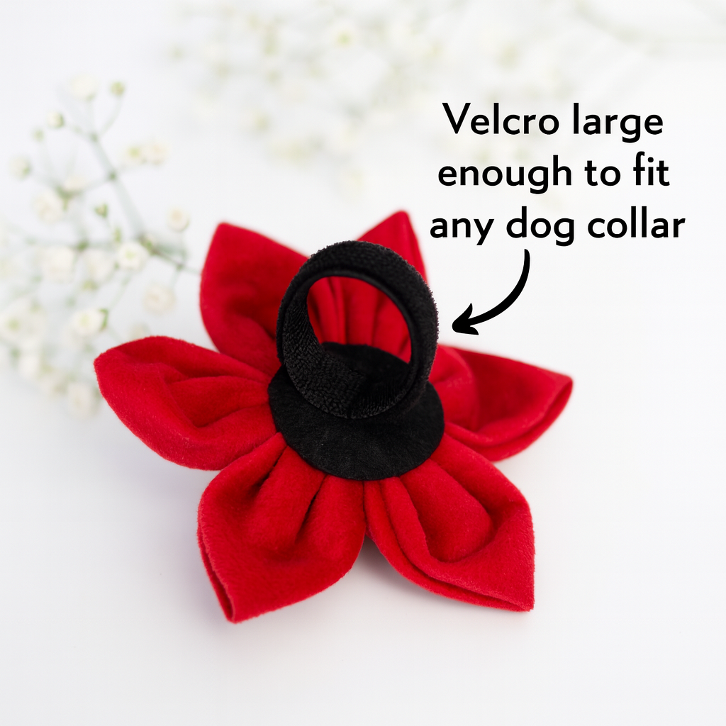 Detachable flower for dog collar 