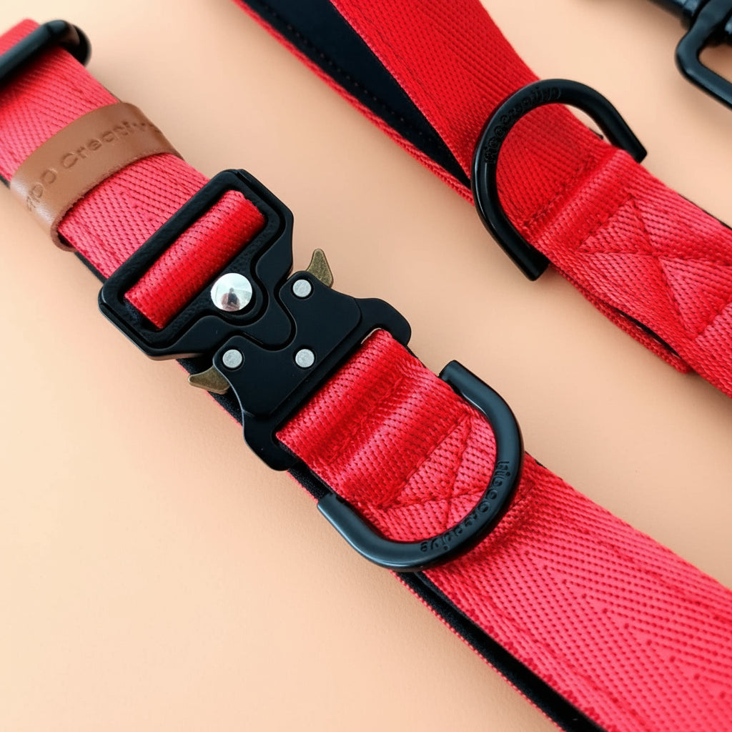 Red dog collar and leash set