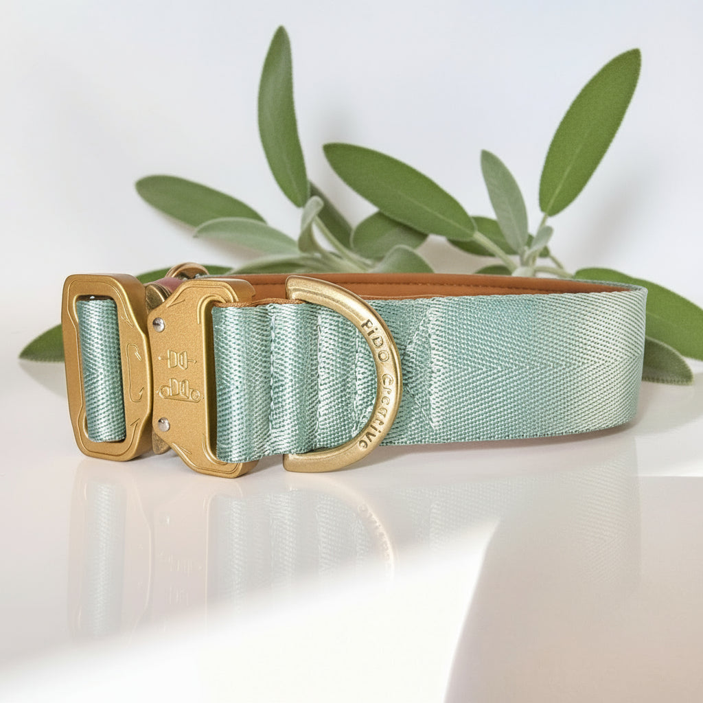 Sage green dog collar 