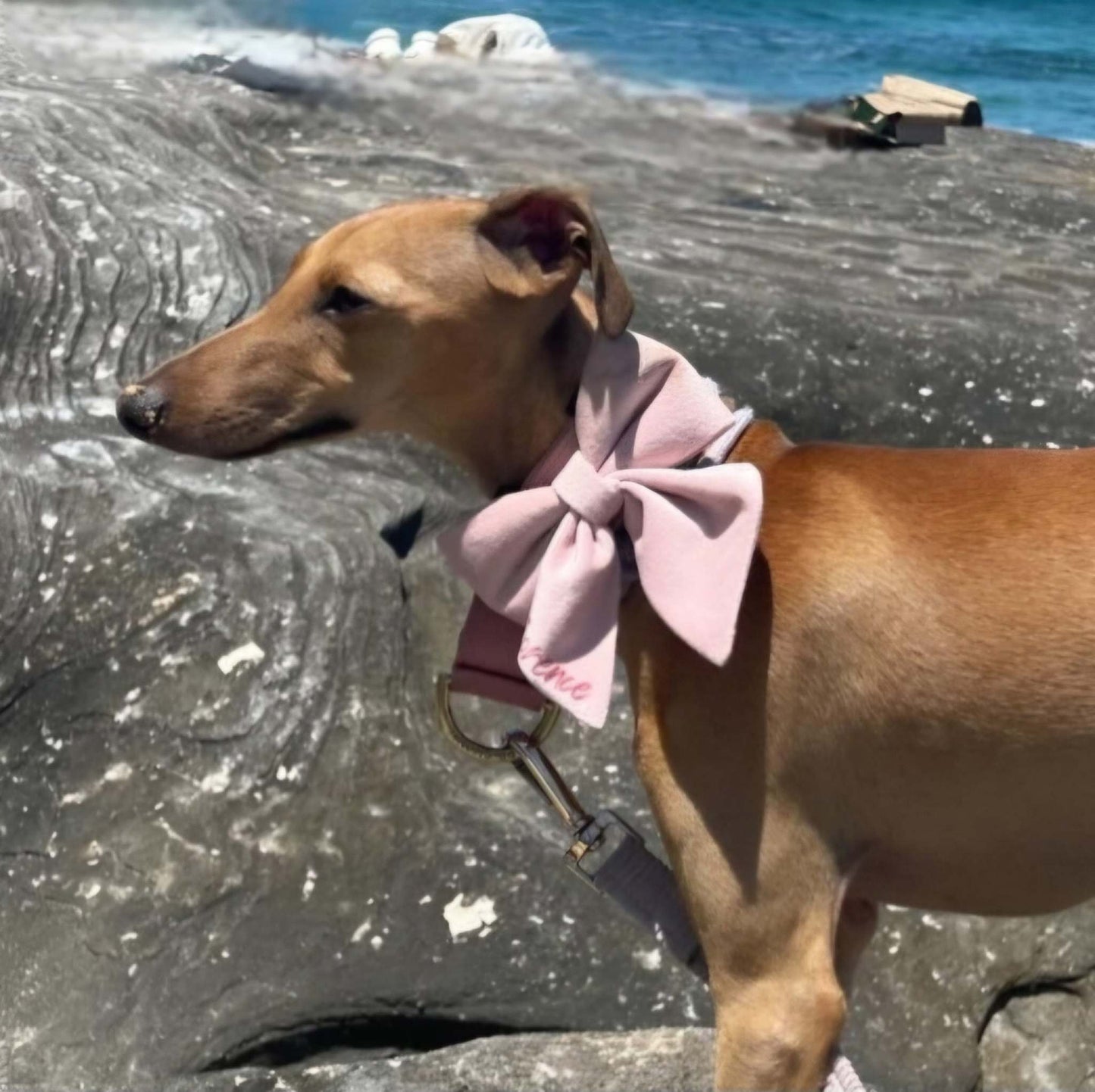 Pink dog bow tie - Dusty Pink velvet sailor dog bowtie with tails