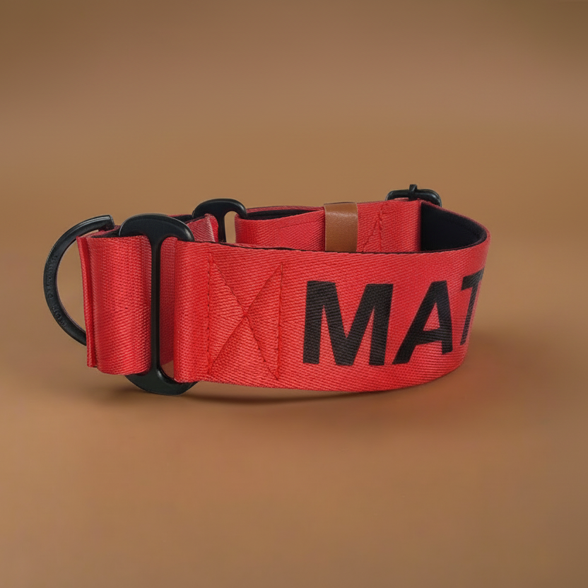 Red dog collar with name personalised on it