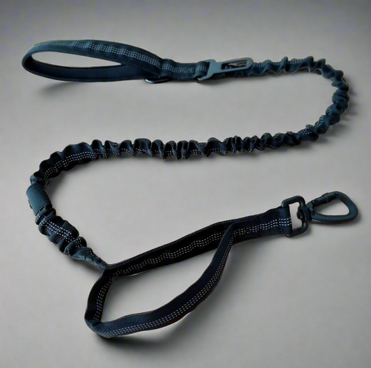 Black bungee dog leash