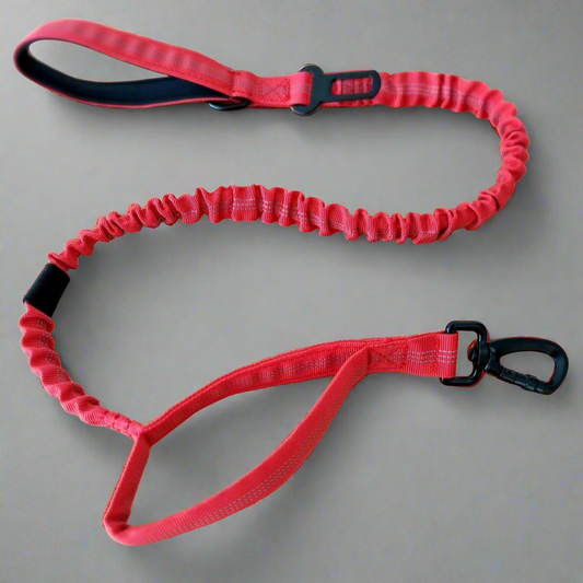 Red Bungee Dog Leash - Reflective - Seatbelt attachment