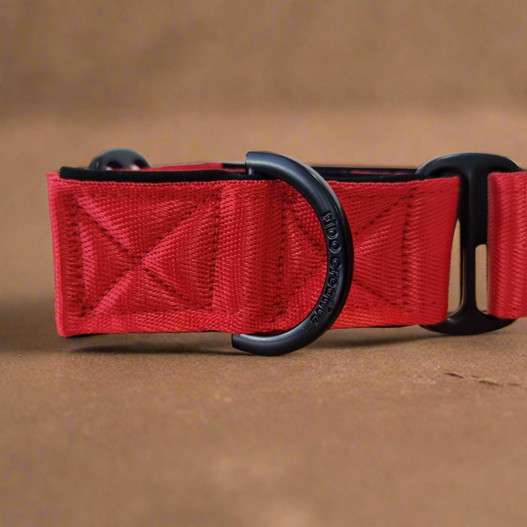 Red dog collar with a black buckle on a brown background