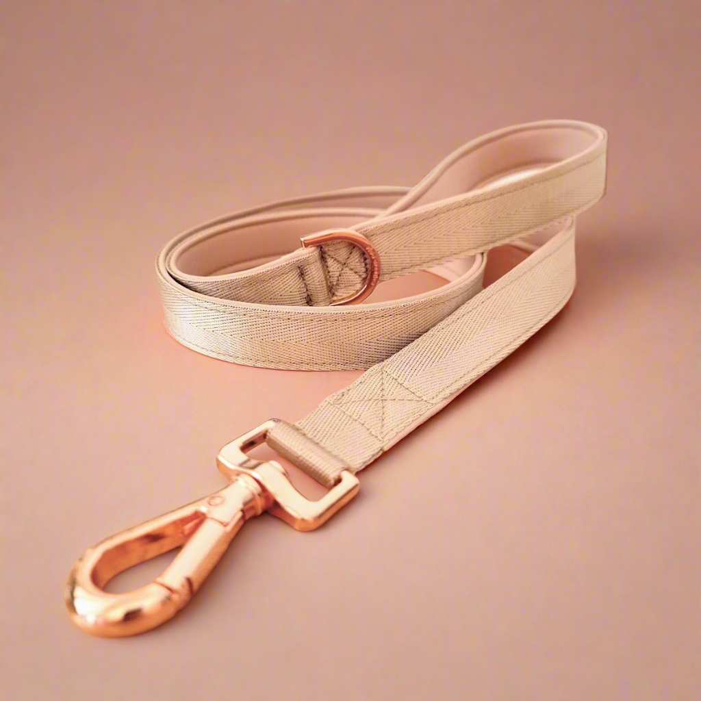 Beige dog leash - neoprene padded