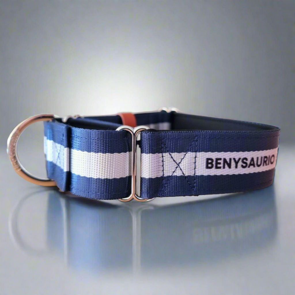 Martingale collar with name blue