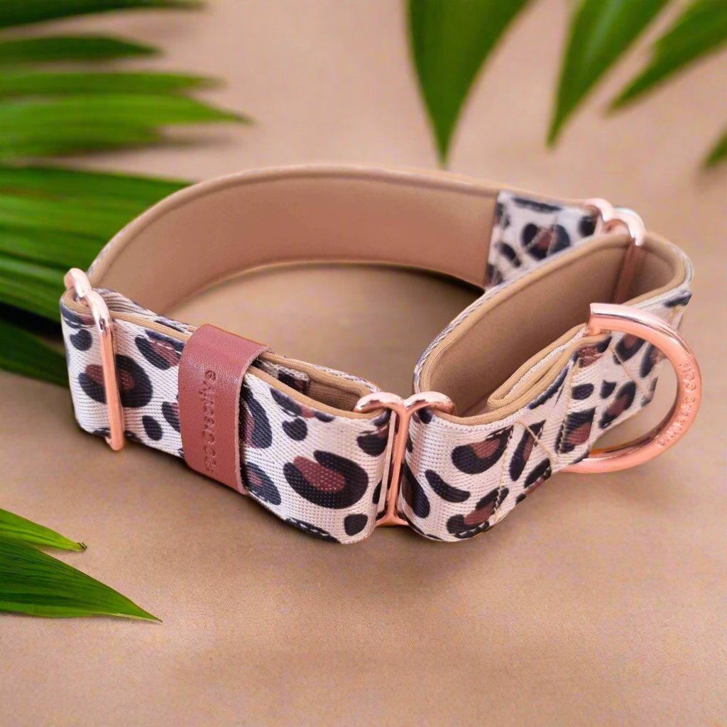 Leopard Print martingale Collar - Padded - Personalised