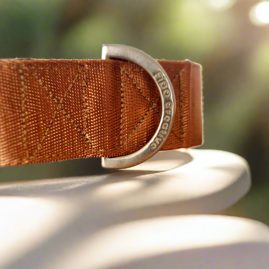Brown and gold dog collar