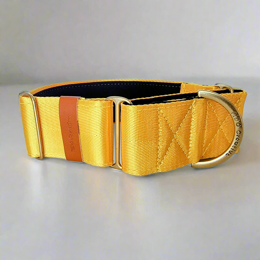 Yellow greyhound collar with padding 