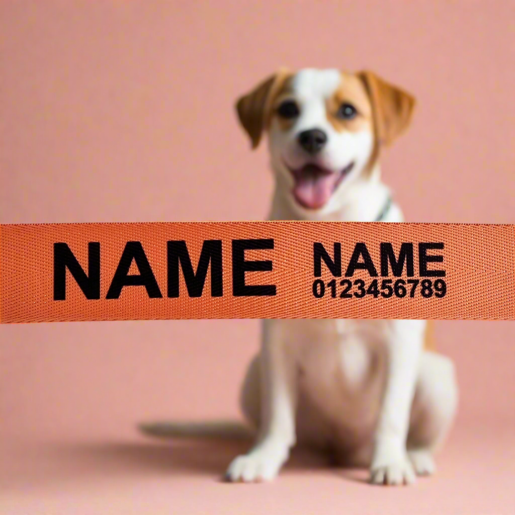 Personalised dog collars Australia 