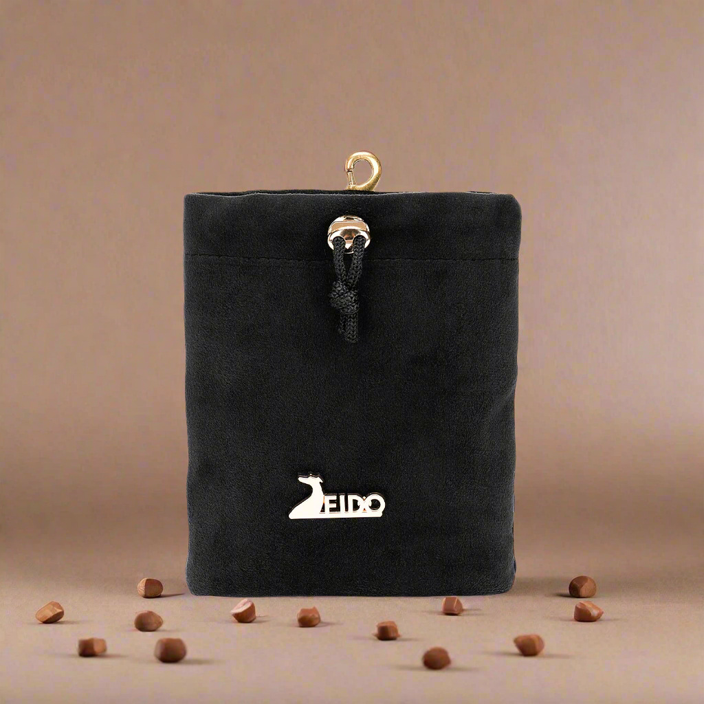 Dog treat pouch