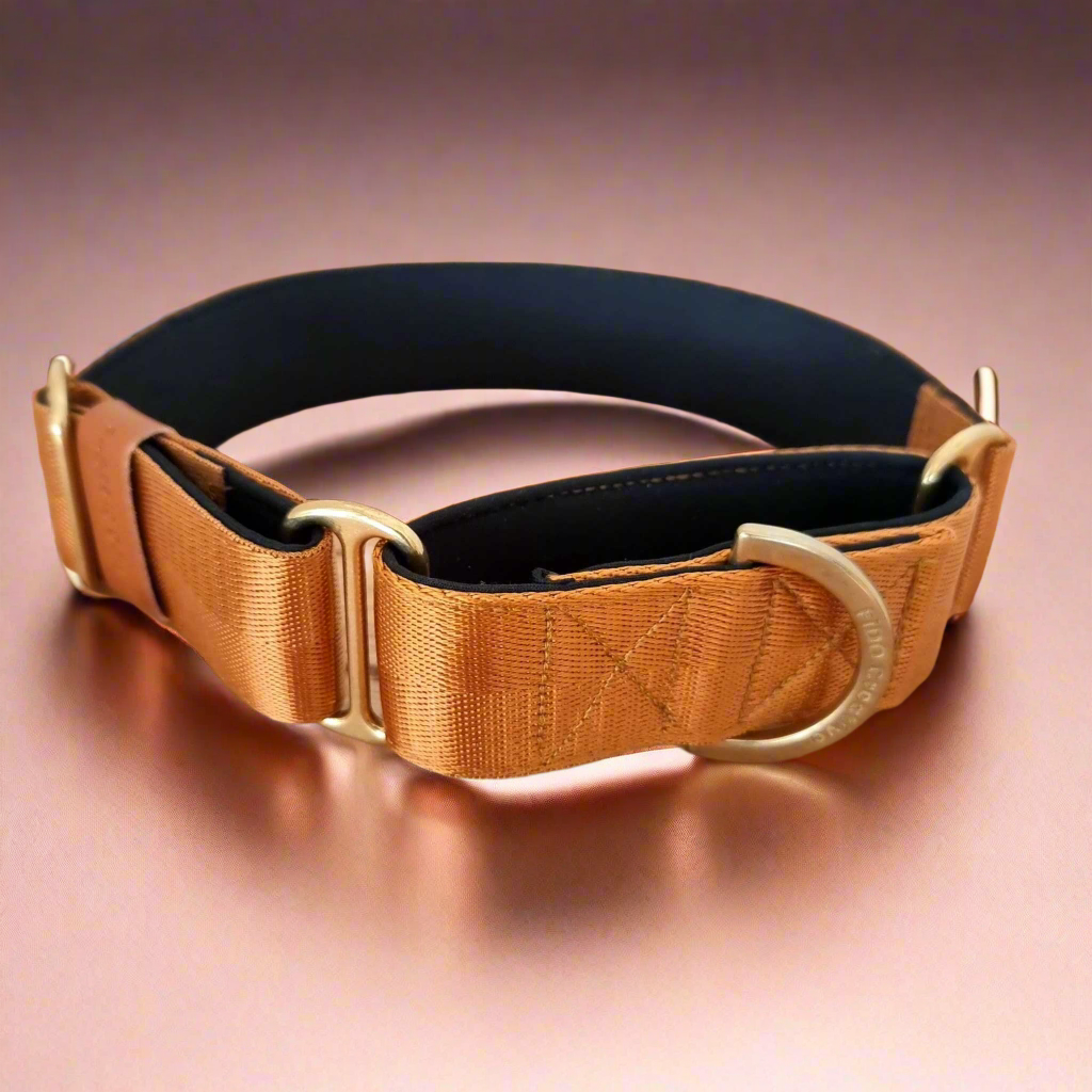 Brown greyhound collar