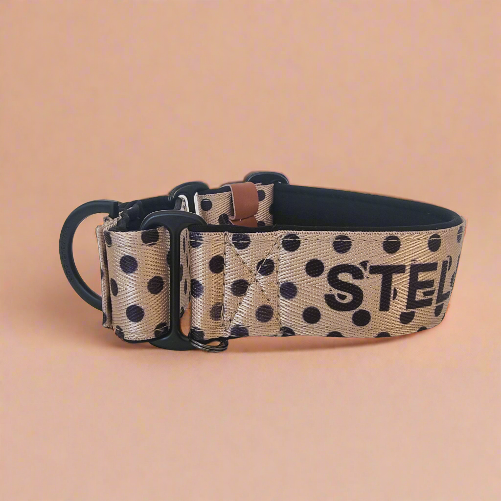 Dog collar with polka dot pattern and name