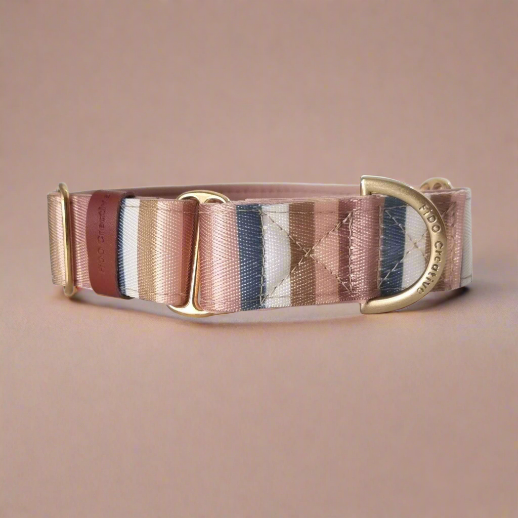 Fashionable martingale dog collar