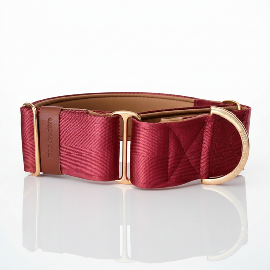 Maroon Dog collar with gold buckle