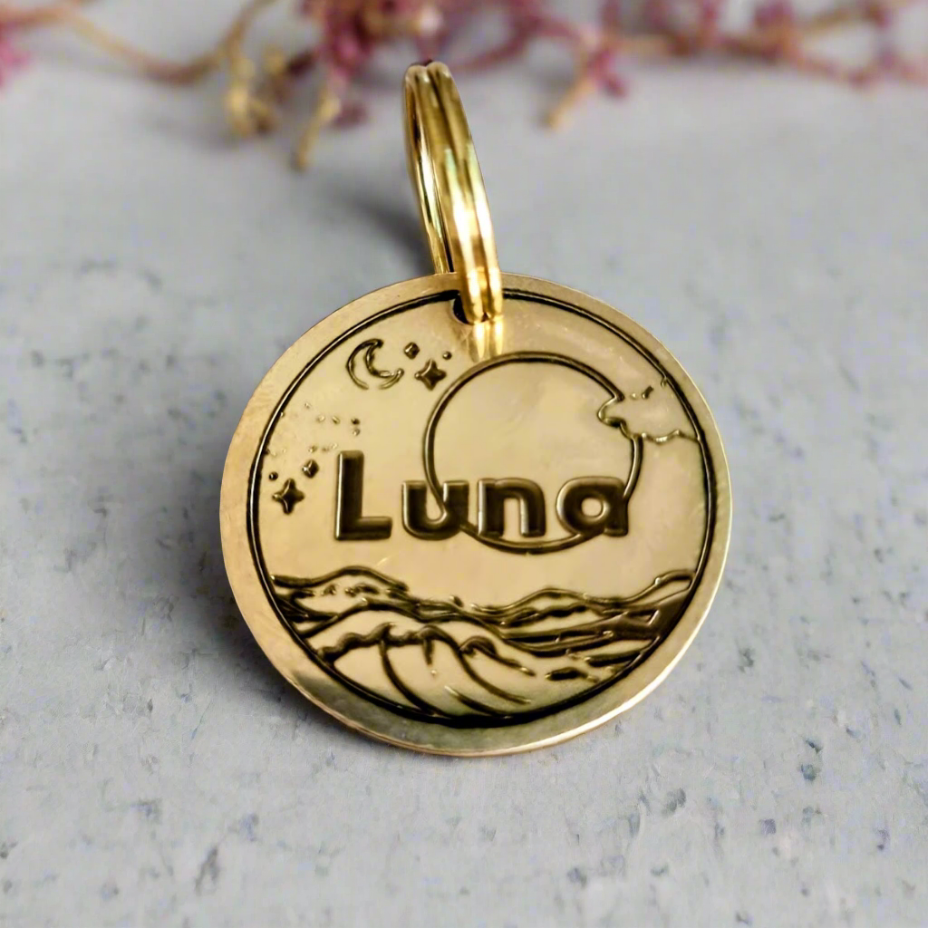 High quality pet ID tag with moon design and the name Luna engraved