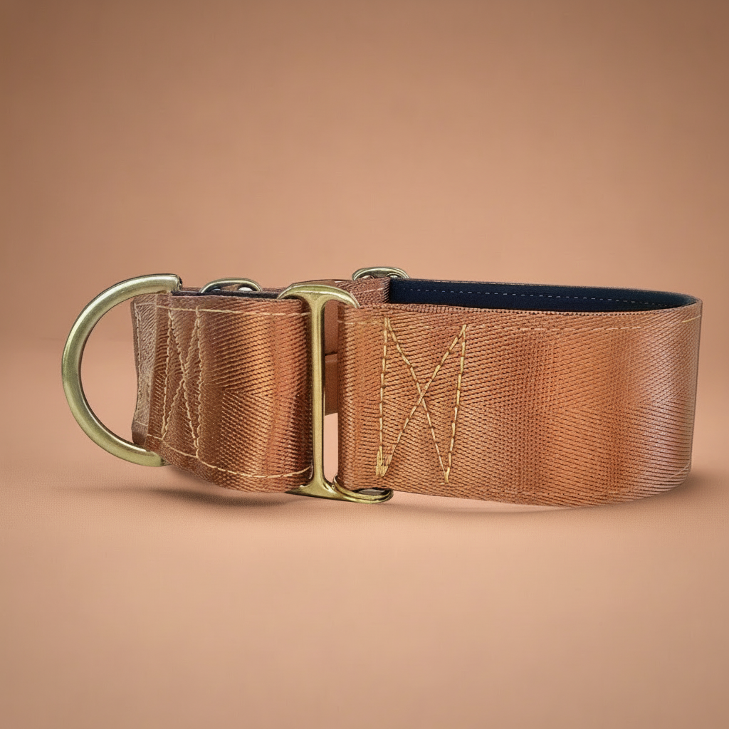 Brown dog collar with brass hardware 