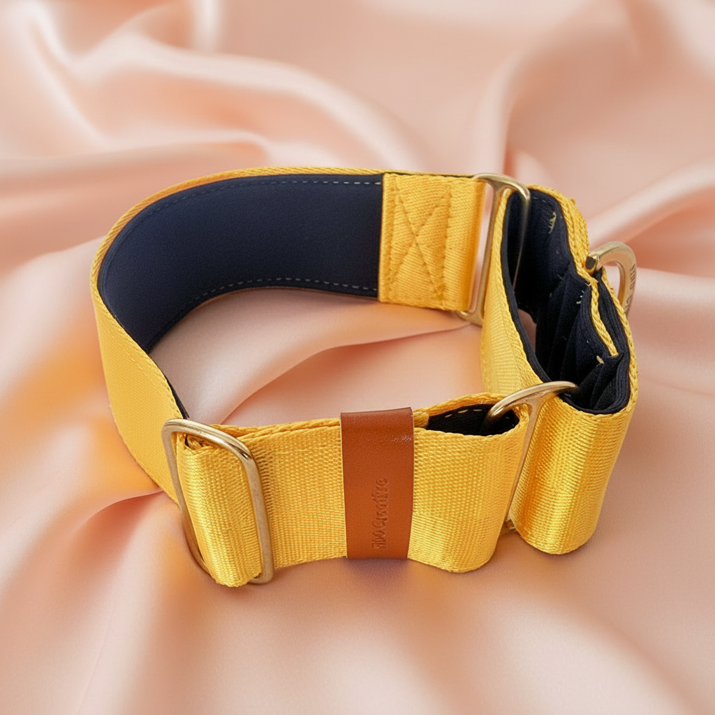 Yellow martingale collar