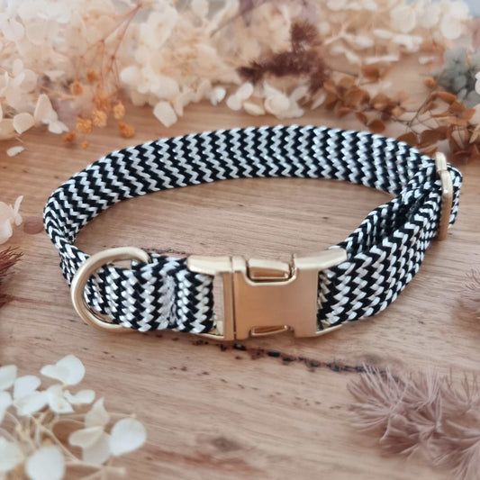 black and white dog collar