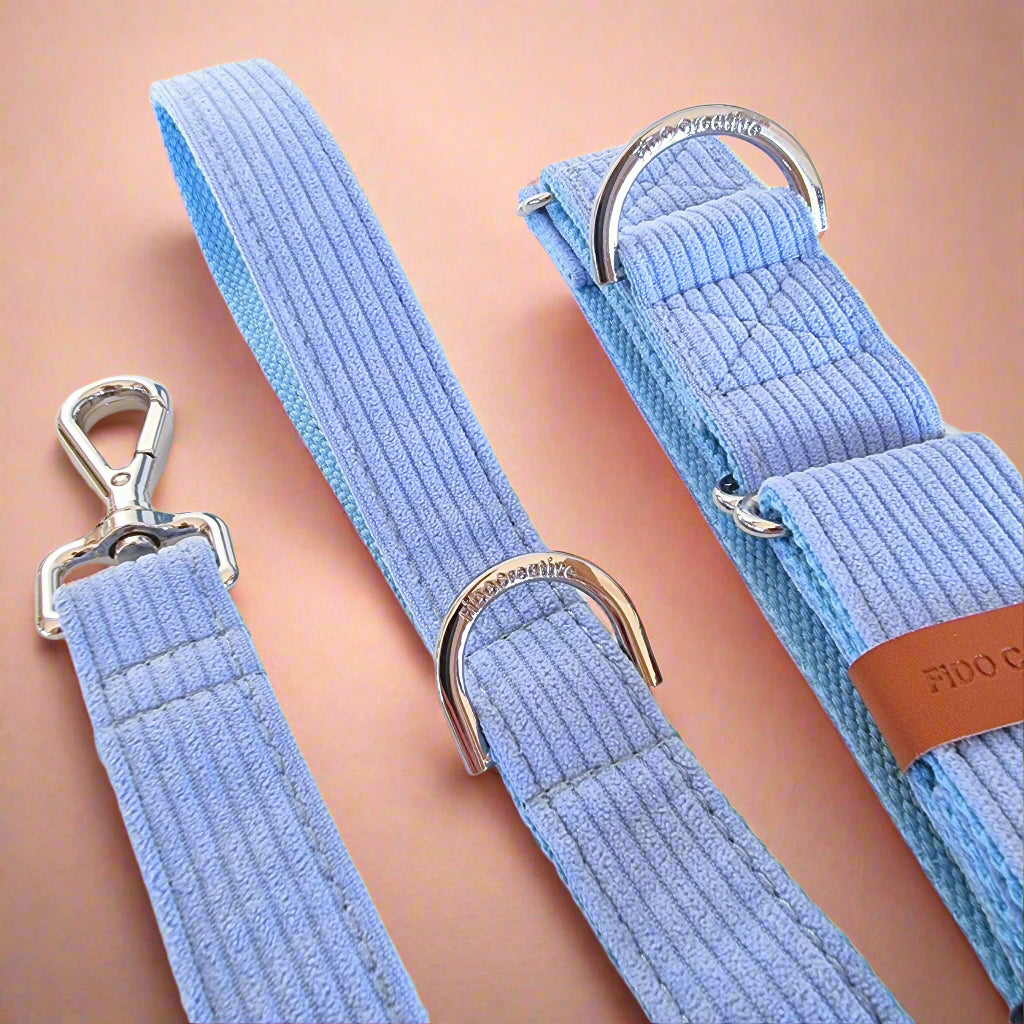 Blue Corduroy greyhound collar and dog leash 