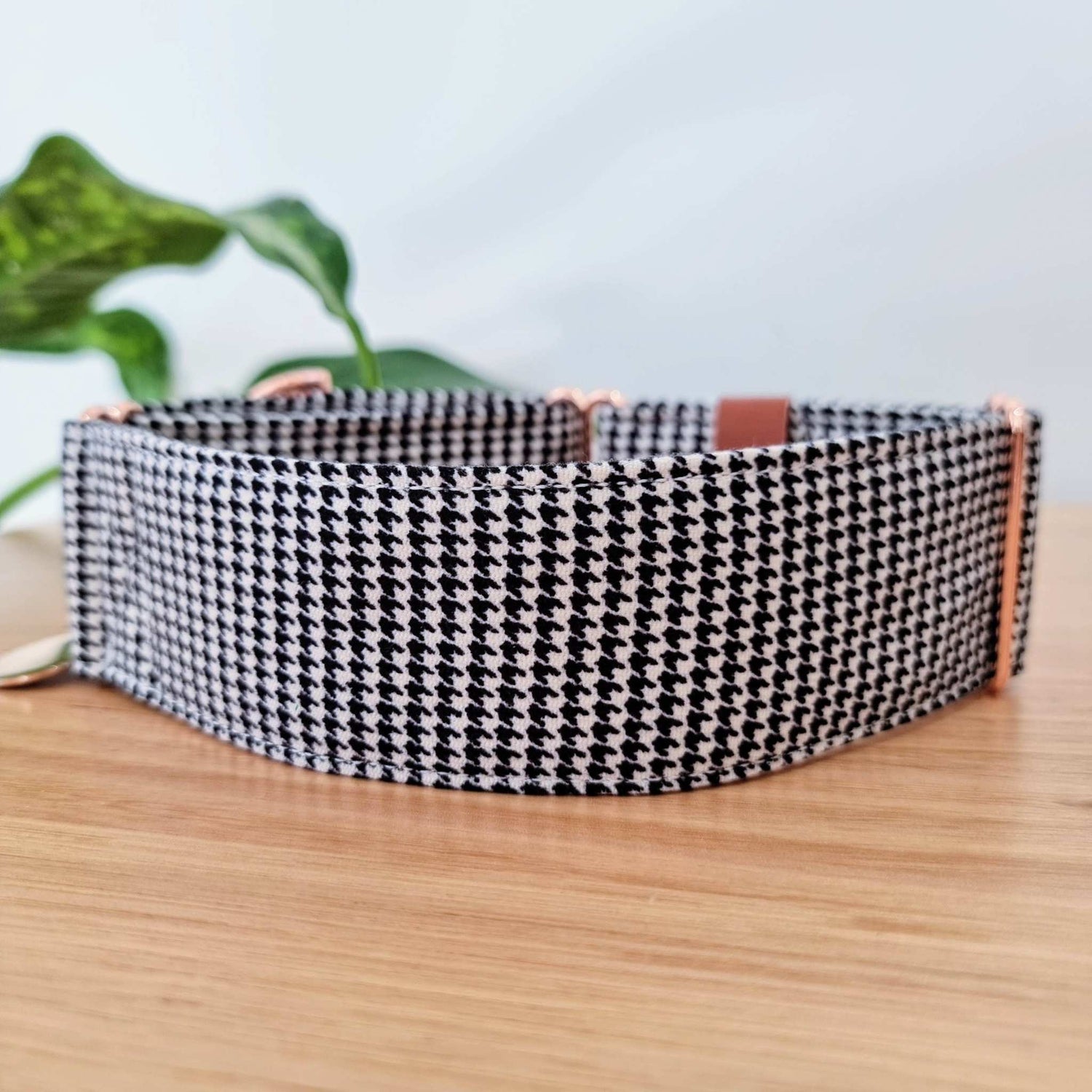 a black and white martingale dog collar