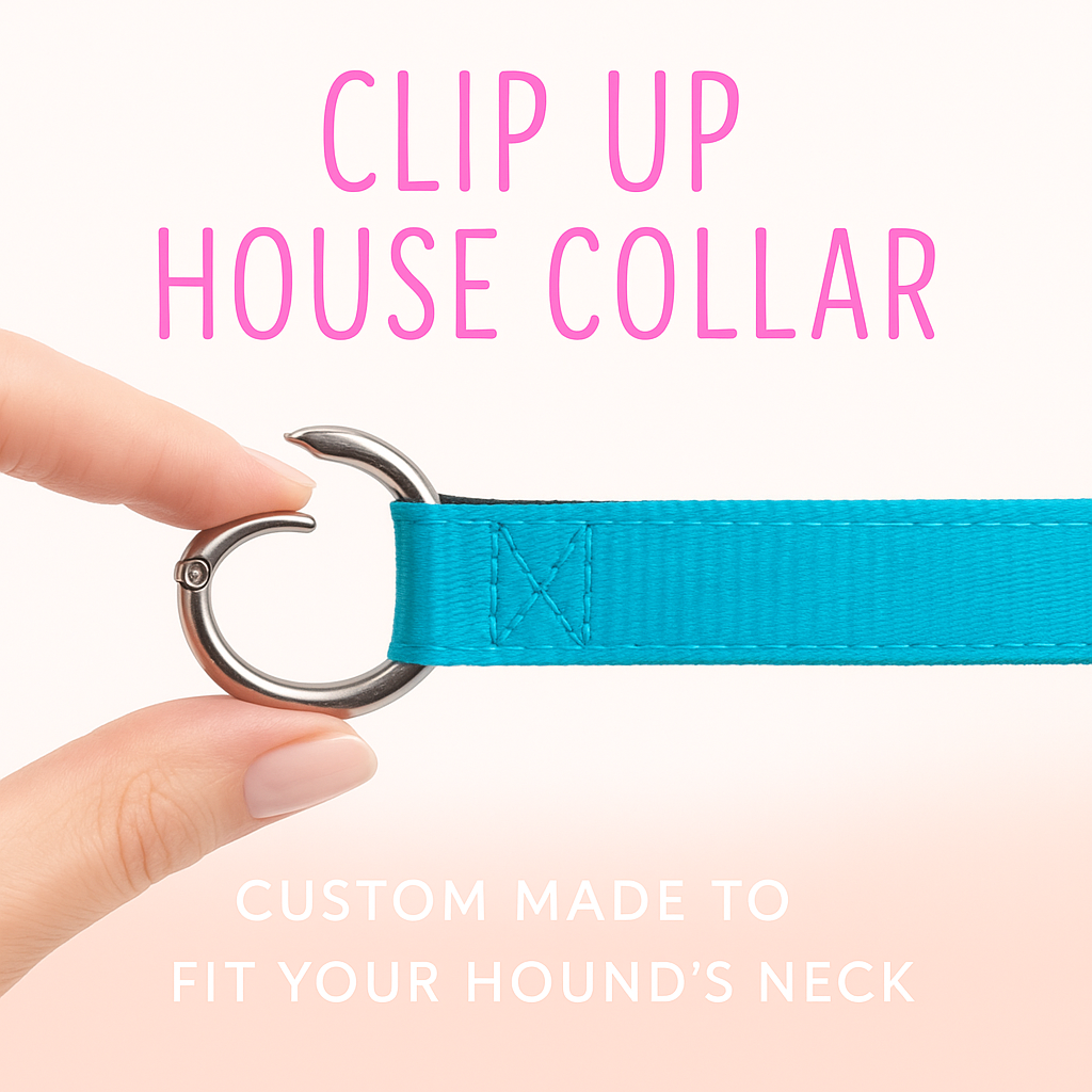 Clip up house dog collar 